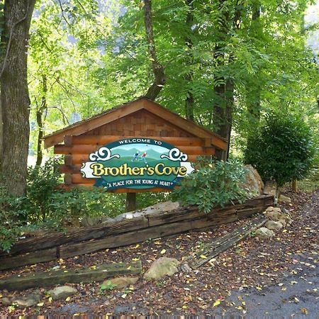 Bear Crossing #6 Villa Sevierville Luaran gambar